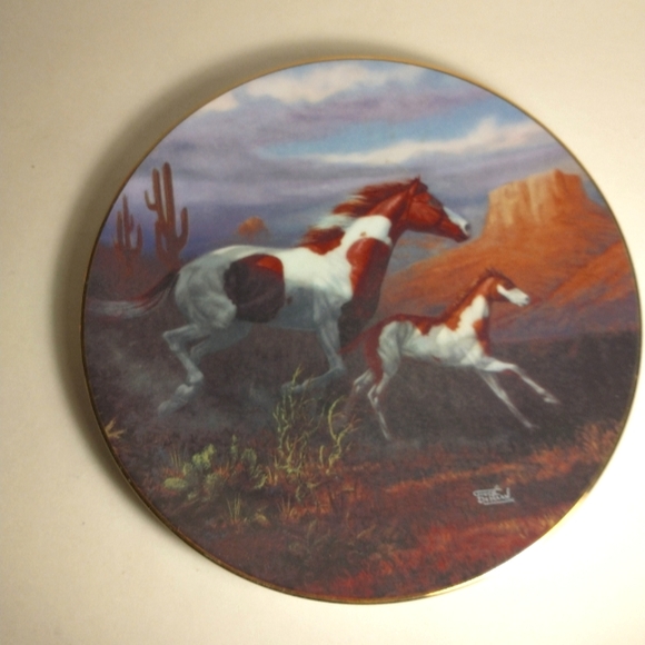 Hamilton Collection Unbridled Spirit collector by Chuck Dehann - Picture 2 of 3